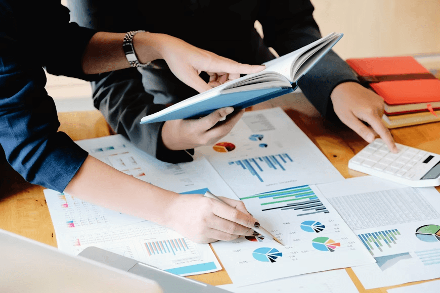 Audit Analysis - Financial Documents